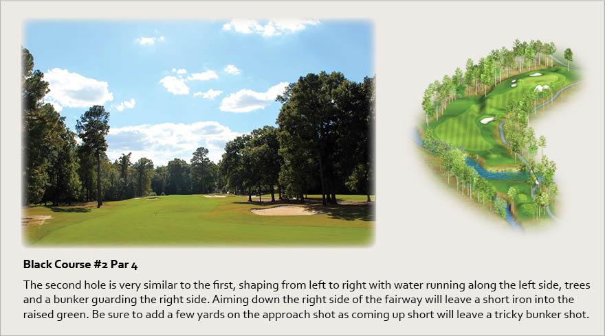 Black Course #2, Par 4 