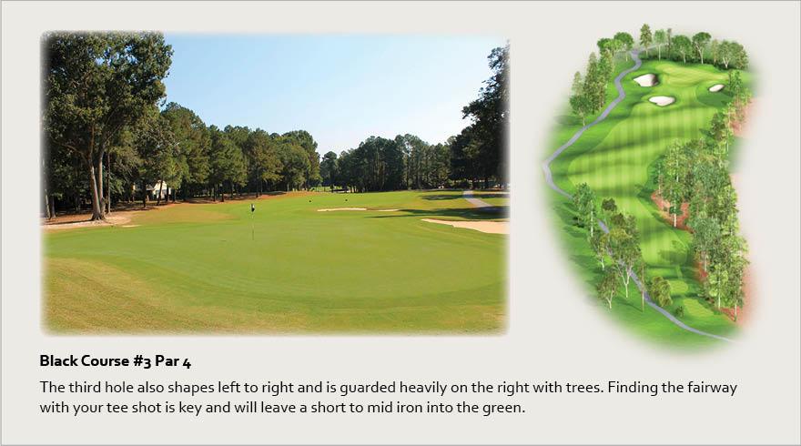 Black Course #3, Par 4