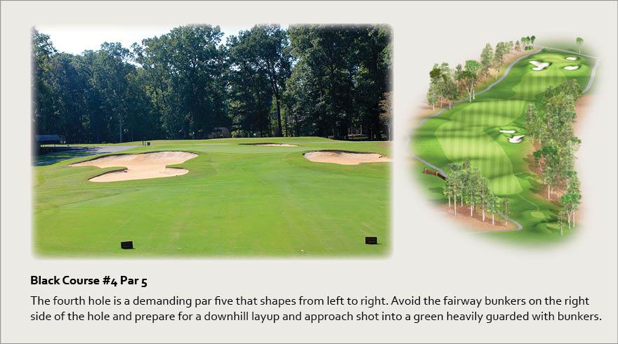Black Course #4, Par 5