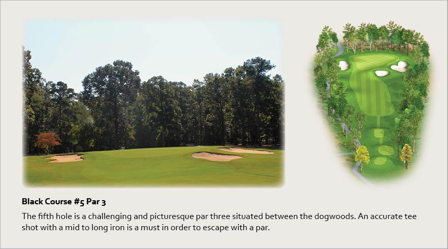 Black Course #5, Par 3