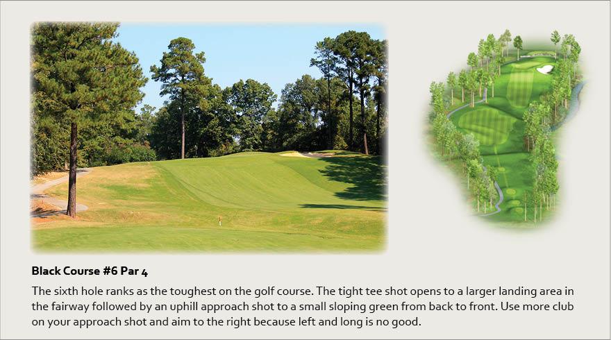 Black Course #6, Par 4