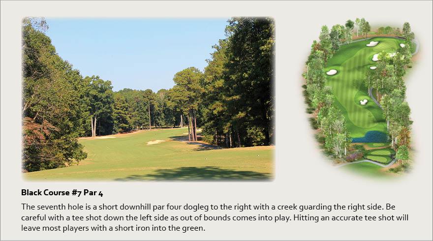 Black Course #7, Par 4