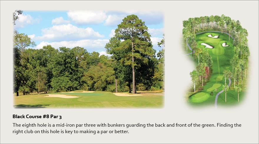 Black Course #8, Par 3 