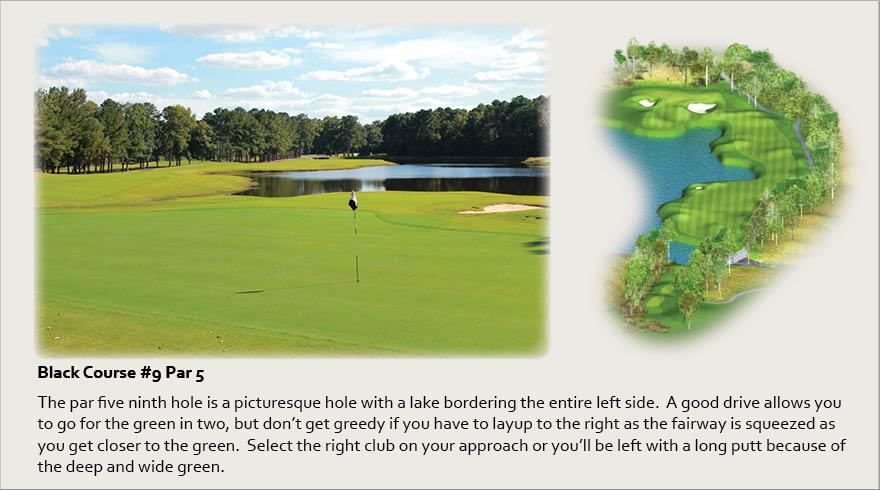Black Course #9, Par 5