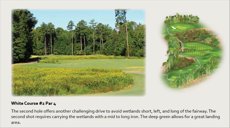 White Course #2, Par 4