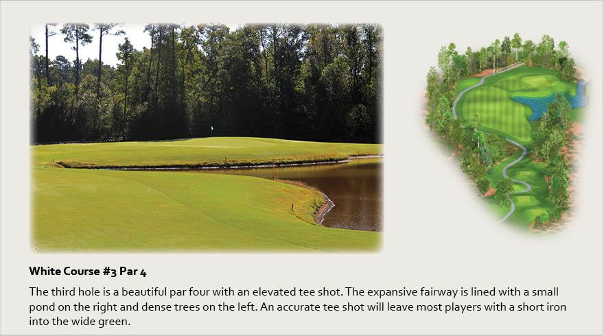 White Course #3, Par 4