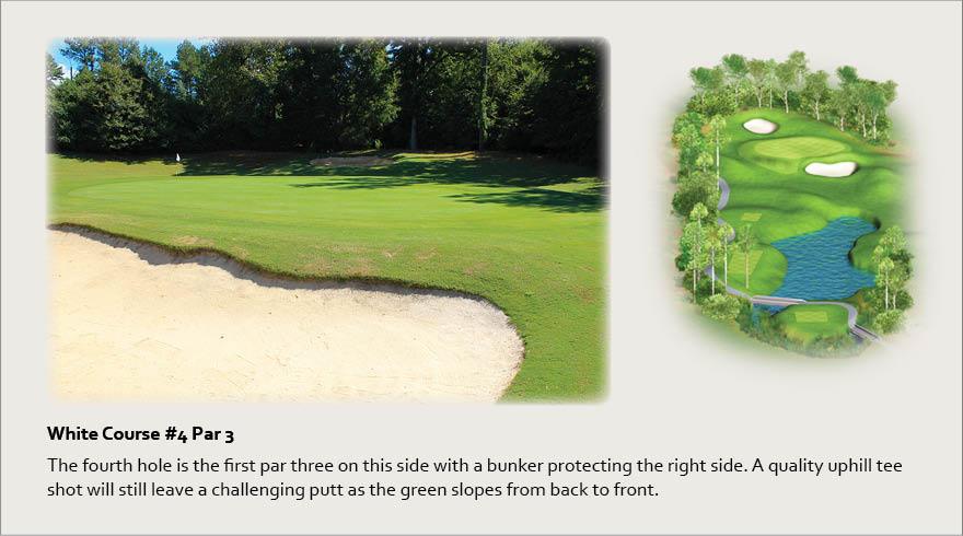 White Course #4, Par 3